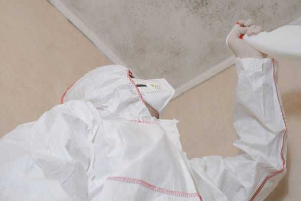 Best Certified Mold Removal  in Truman, MN